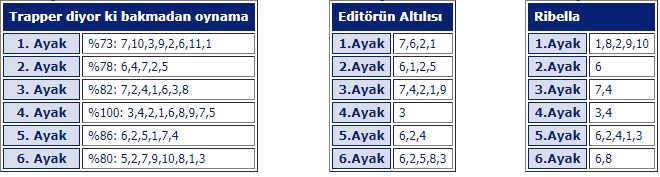 5 Şubat 2019 Salı Kocaeli At Yarışı Tahminleri